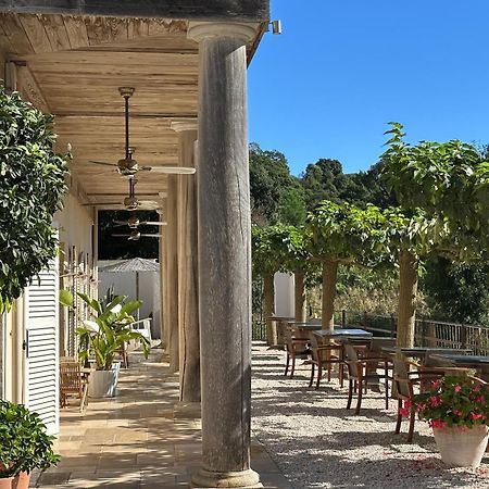 Le Clos Des Sept Palmiers Cavalaire-sur-Mer Kültér fotó