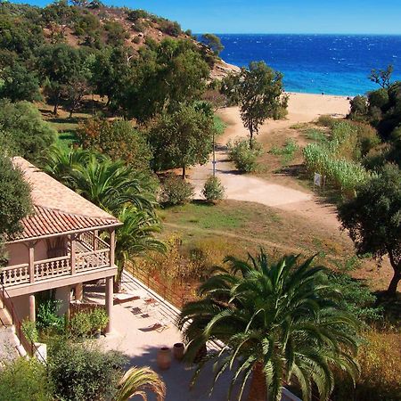 Le Clos Des Sept Palmiers Cavalaire-sur-Mer Kültér fotó