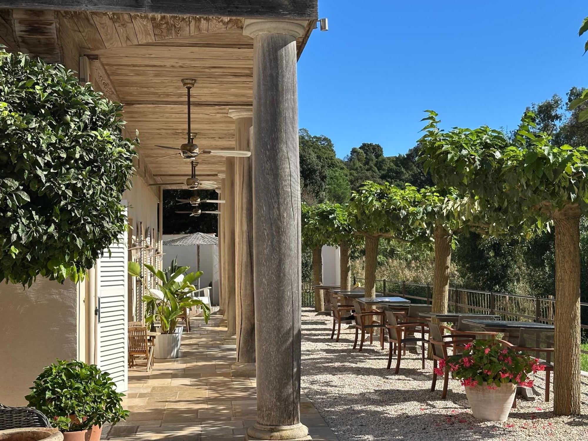 Le Clos Des Sept Palmiers Cavalaire-sur-Mer Kültér fotó