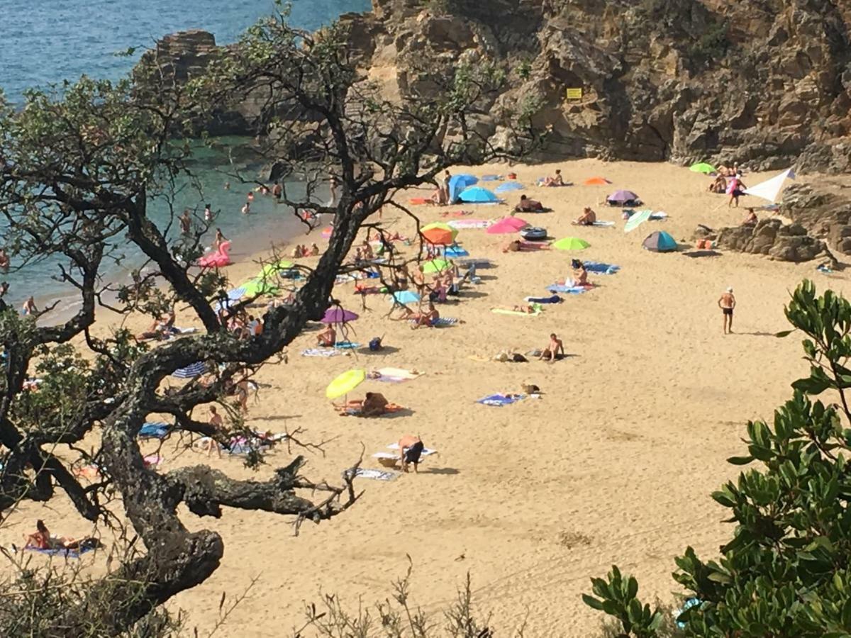 Le Clos Des Sept Palmiers Cavalaire-sur-Mer Kültér fotó