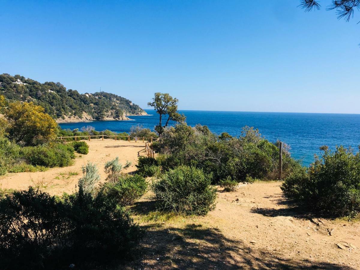 Le Clos Des Sept Palmiers Cavalaire-sur-Mer Kültér fotó