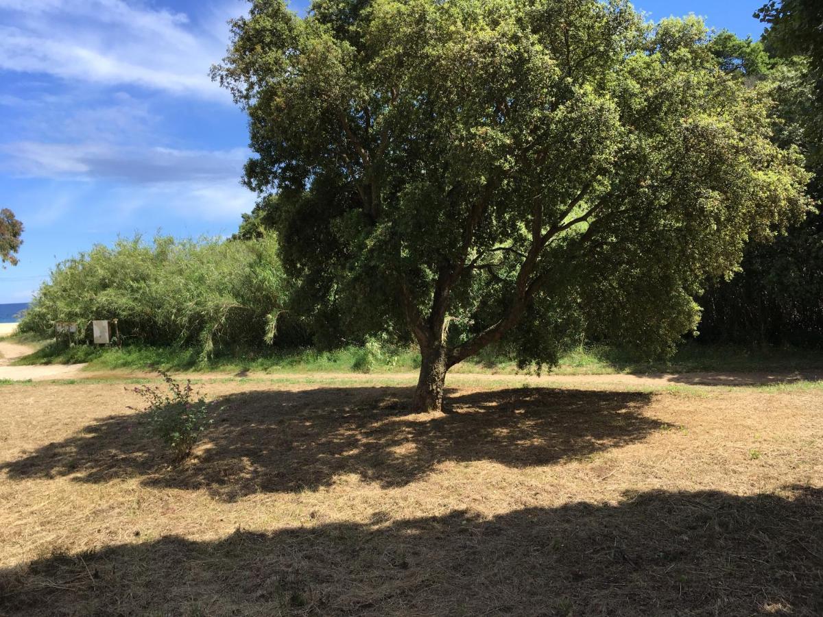 Le Clos Des Sept Palmiers Cavalaire-sur-Mer Kültér fotó