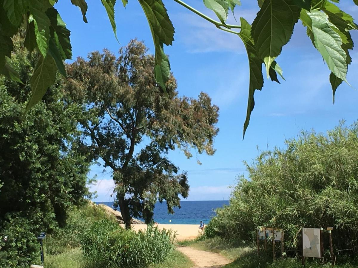 Le Clos Des Sept Palmiers Cavalaire-sur-Mer Kültér fotó